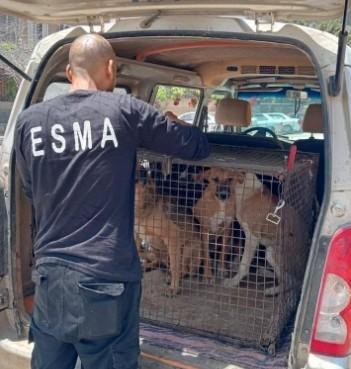 الإسكان: جهود مكثفة لمواجهة ظا...