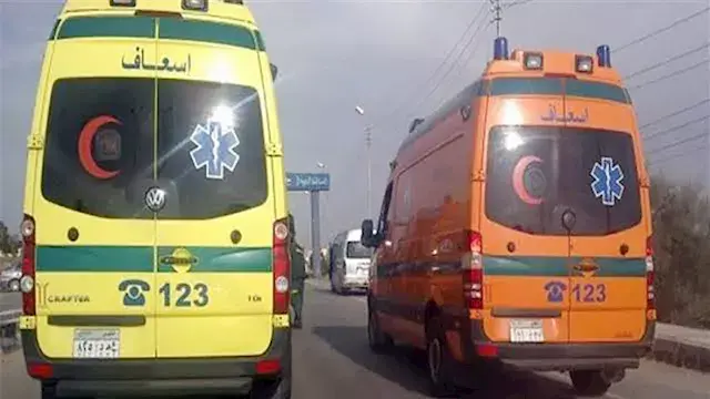 جميعهم من مغاغة.. ننشر أسماء م...