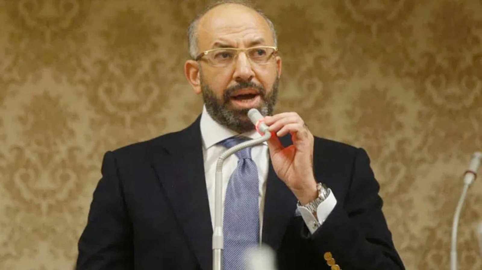 النائب حسام المندوه يطالب بتأه...