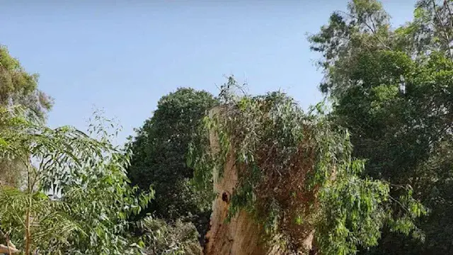 محافظة القاهرة توضح حقيقة قطع...