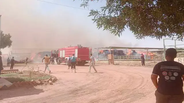 محافظ الوادي الجديد تتابع جهود...