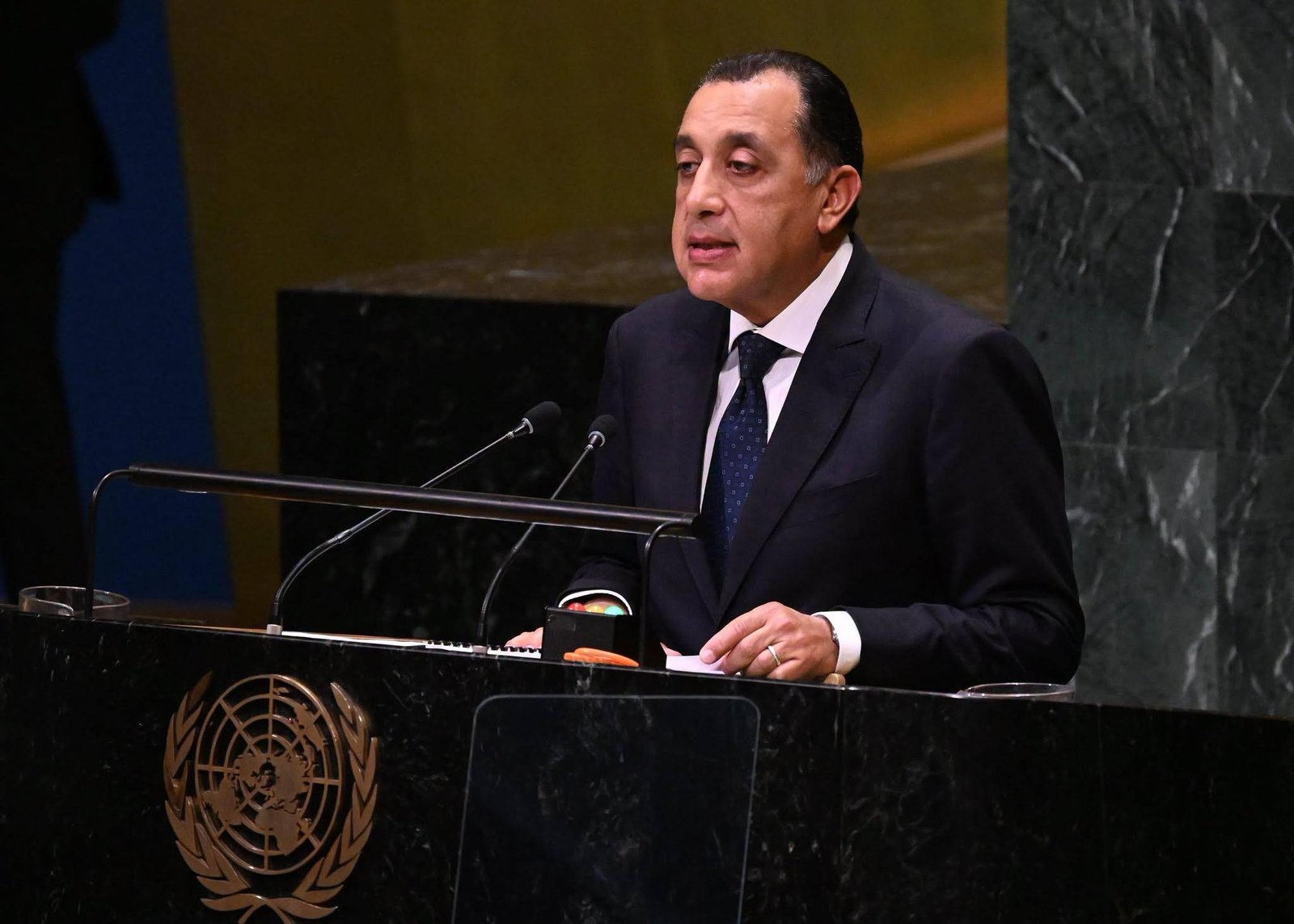 رئيس الوزراء: مصر تضع خبراتها...
