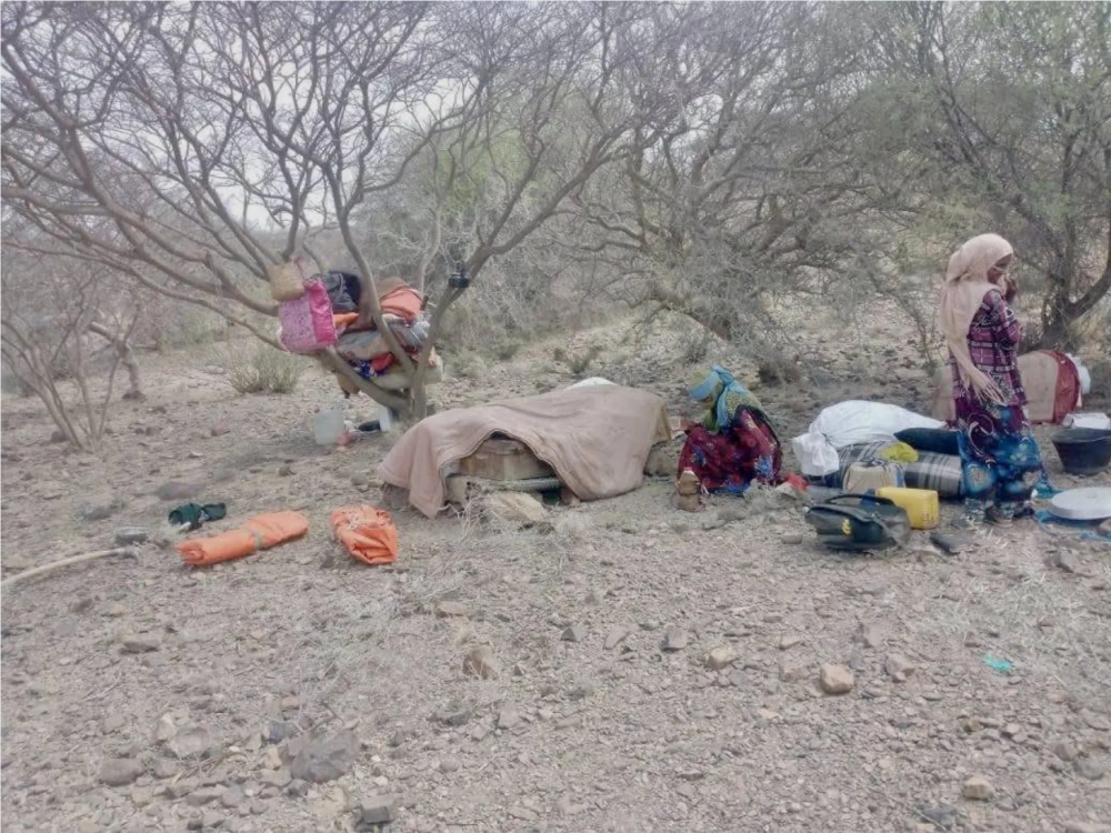 القوات اليمنية تعيد ترتيب الجبهات
وضربات موجعة للحوثيين في تعز