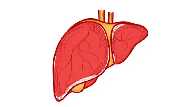 علامات تظهر أثناء دخول الحمام...