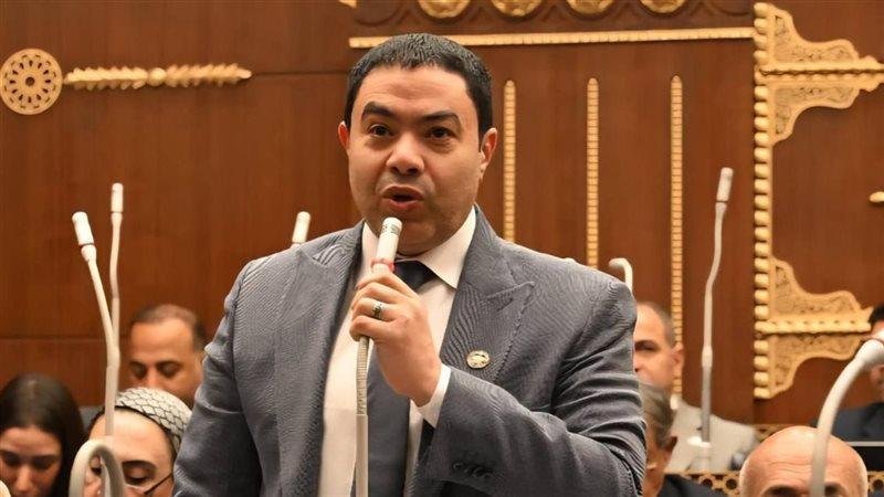 نائب بالشيوخ يحذر من استبعاد م...