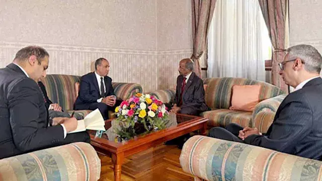 مصر وإريتريا تبحثان تعزيز التع...