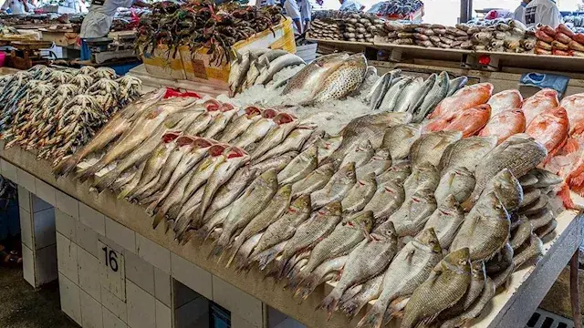 أسعار الأسماك في سوق العبور ال...