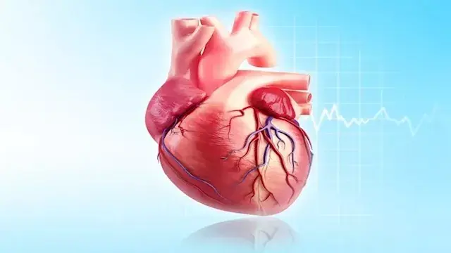 لا تفعلها بعد الساعة 7 مساء.....