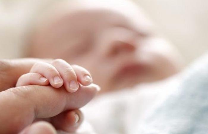 الإحصاء: معدلات الإنجاب في الر...