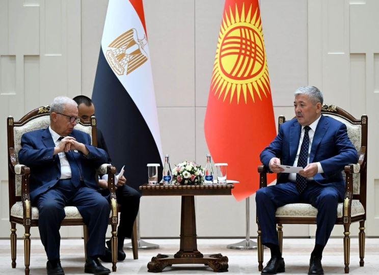 نائب رئيس الوزراء: حريصون على...