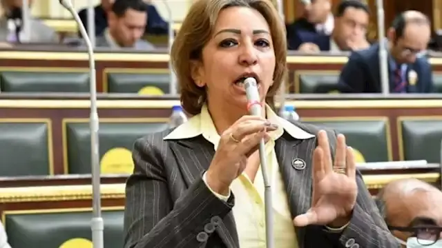 وكيل "اتصالات النواب" تنتقد زيادة أسعار باقات الإنترنت دون إخطار البرلمان