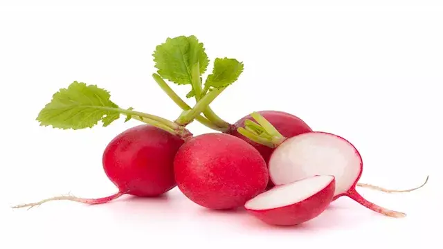 كيف يؤثر تناول الفجل على المنا...