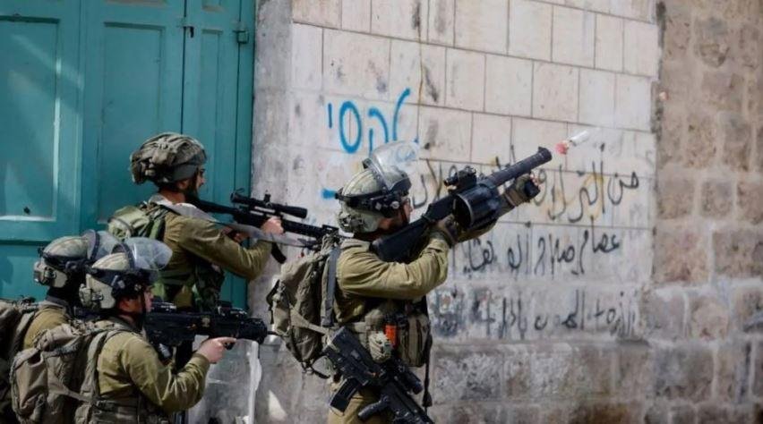 فلسطين: وثقنا أكثر من 11 ألف ا...