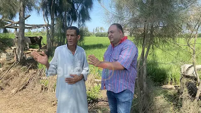 "الفلاح الفصيح".. كيف خطف "عم...