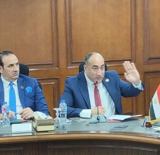 النائب عمرو رشاد يطالب بحلول ع...