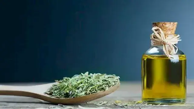 الزعتر.. فوائد صحية تجعلها إضافة مفيدة لنظامك الغذائي