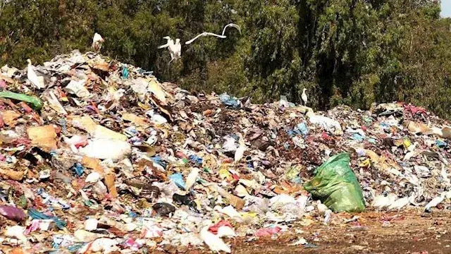 جهاز تنظيم إدارة المخلفات: 37...