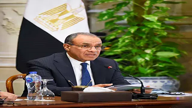 وزير الخارجية  يلتقي ممثلي الشركات المصرية العاملة في أفريقيا لتعزيز النشاط الاقتصادي بالقارة