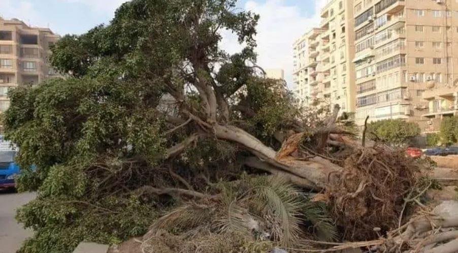 النيابة العامة تأمر بإجراء تحق...