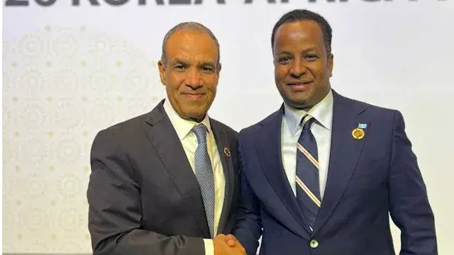 مصر تشدد على سرعة الإفراج عن ا...