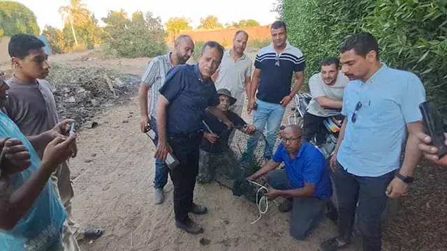 نهاية الجدل.. العثور على تمساح...