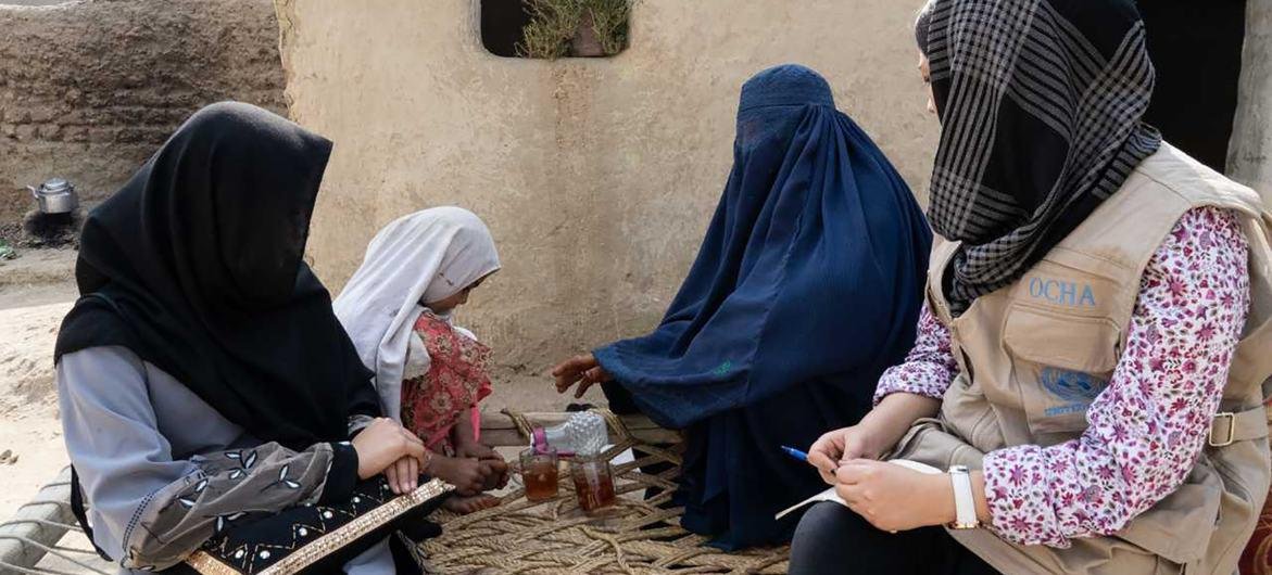 هيئة الأمم المتحدة للمرأة: الن...