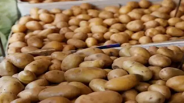 تصل لـ30 جنيهًا.. نقيب الفلاحي...