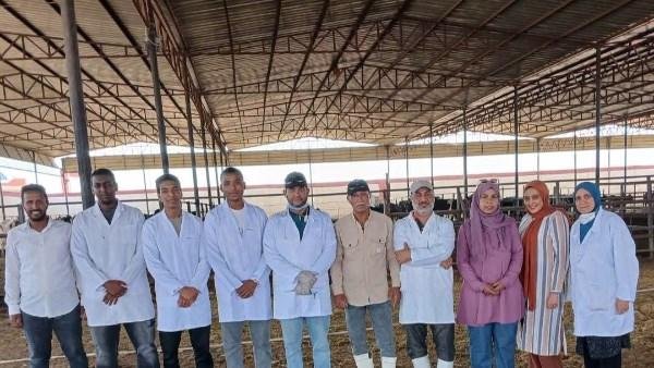 جهود مديرية الطب البيطري بأسوان خلال 3 أشهر للحفاظ على الثروة الحيوانية