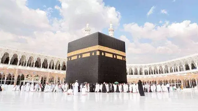 بعد تطبيق "الإعاشة".. أسعار ال...
