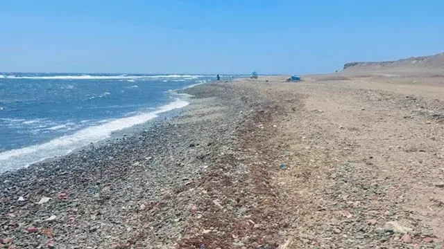 بالصور- حملة لرفع المخلفات الصلبة والبلاستيكية بمحمية نبق