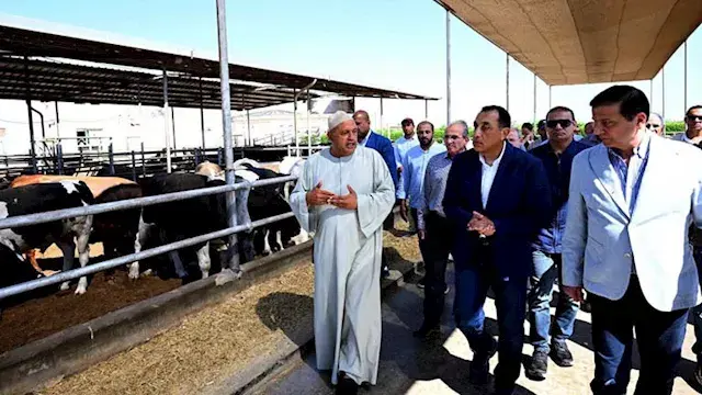 تنتج 15 ألف رأس سنويًا.. مدبولي يتفقد مزرعة العمار للإنتاج الحيواني (صور)