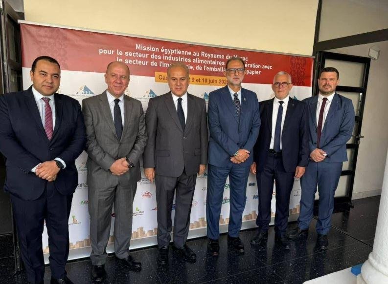 نزار أبو إسماعيل: 31 شركة مصري...