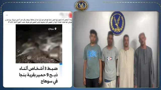 للحصول على جلودها.. ضبط تشكيل...