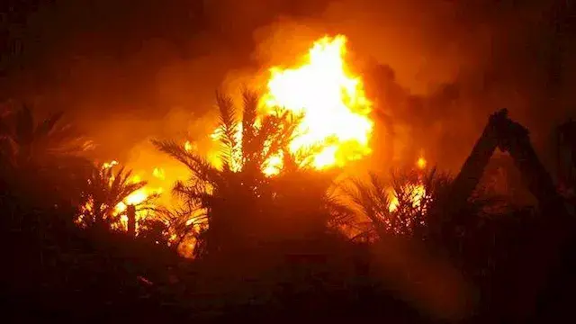 السيطرة على حريق داخل حديقة دار العلوم بالسيدة زينب