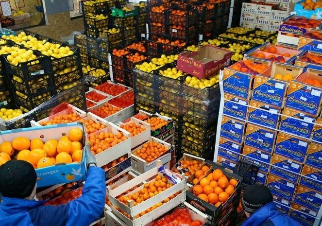 تجاوزت 5 مليارات دولار.. صادرا...