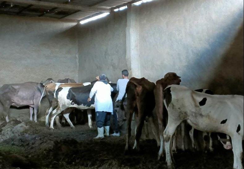 بـ 8 ملايين جرعة .. الزراعة تخ...