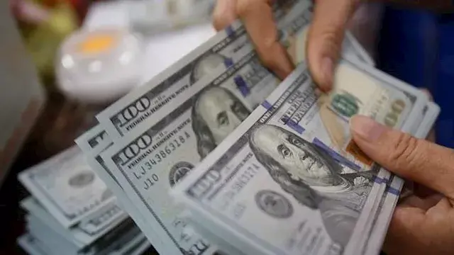 ضبط قضايا اتجار غير مشروع بالن...