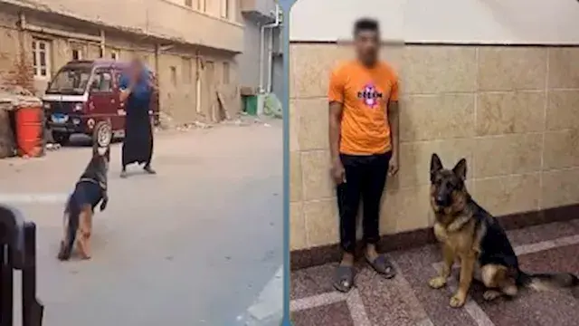 الداخلية تكشف حقيقة فيديو هجوم...