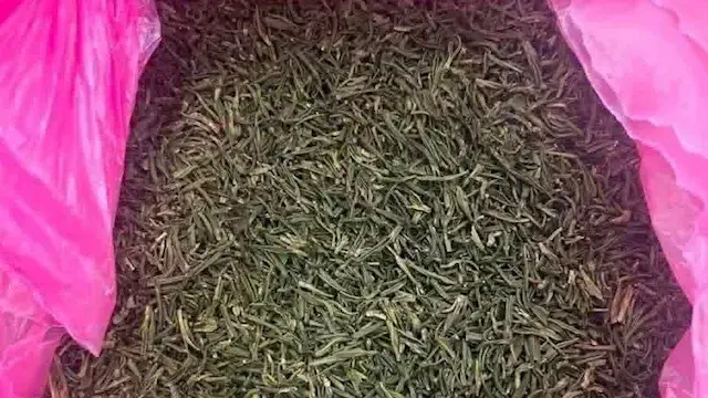 إحباط تهريب 51  كيلو من مخدر ا...