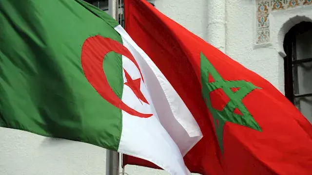 عراك بالأيدي.. القصة الكاملة ل...