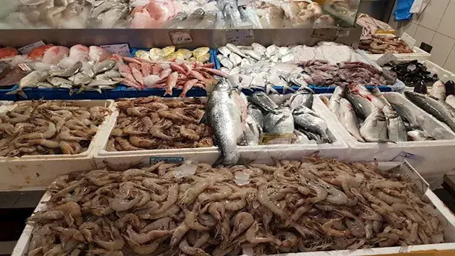 أسعار الأسماك والمأكولات البحر...