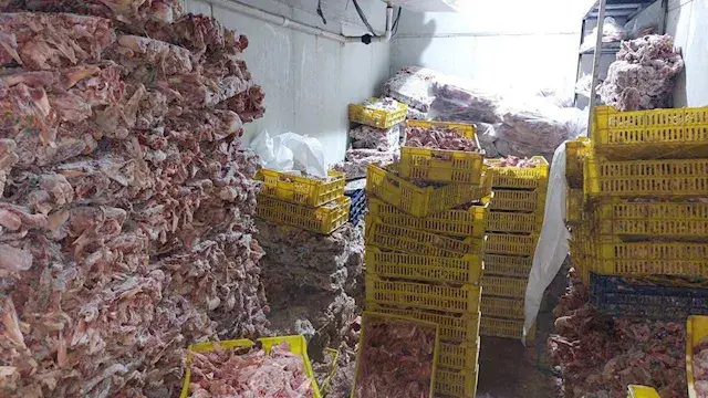 الجيزة: 10.3 مليون جنيه غرامات...
