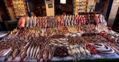 ارتفاع أسعار أسماك بكفر الشيخ....