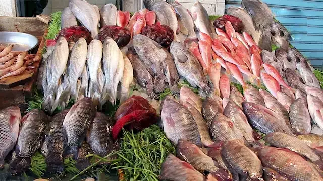 أسعار الأسماك والمأكولات البحرية في سوق العبور اليوم.. ارتفاع الكابوريا