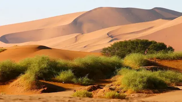 10 صور لأجمل وأشهر 8 حدائق في...