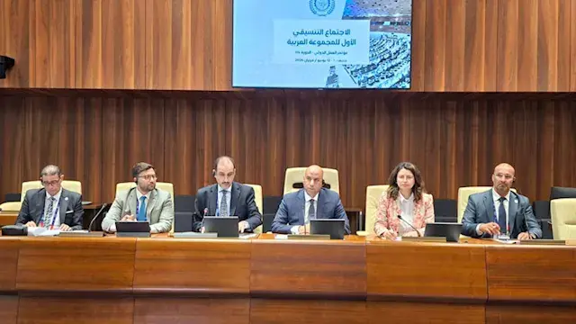 مصر تقود التنسيق العربي من جني...