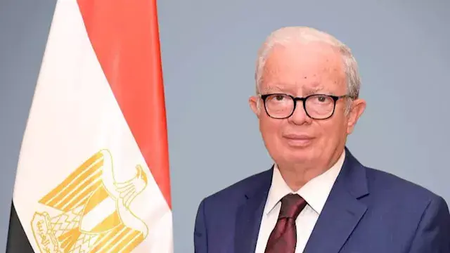 نائب رئيس الوزراء يبحث مع "إرن...