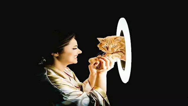 صور تخطف القلوب.. لحظات زفاف م...