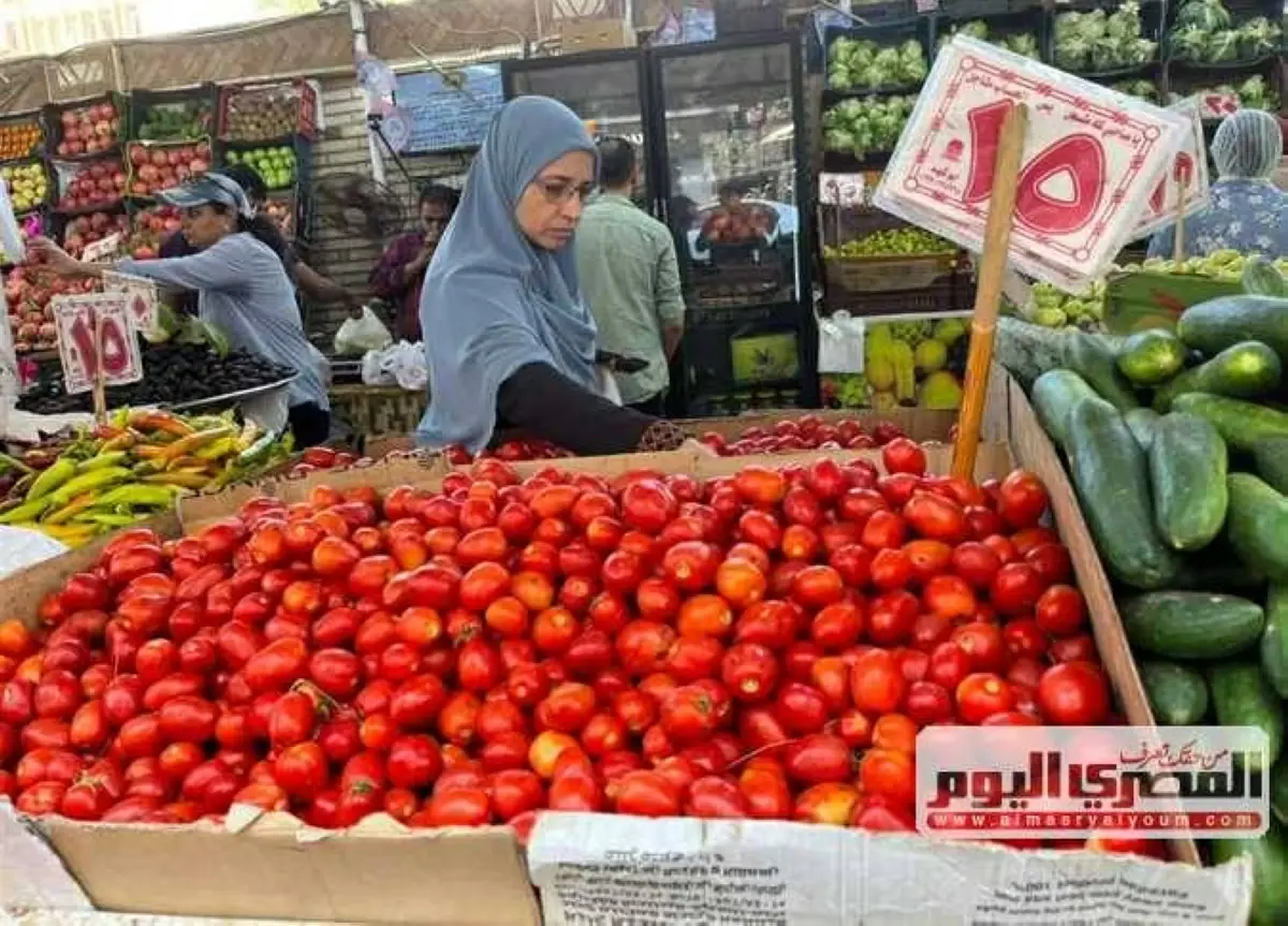 الطماطم بــ 15 جنيهاً.. سعر الخضار والفاكهة في أسواق الشرقية اليوم الأحد 19 يوليو 2026