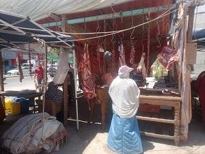 محافظ الإسكندرية: استمرار التو...